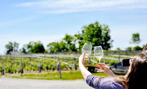 Prince edward county winery